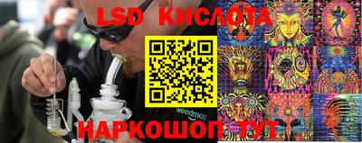 ПСИЛОЦИБИНОВЫЕ ГРИБЫ Берёзовский