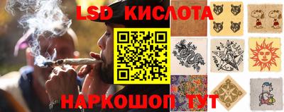ПСИЛОЦИБИНОВЫЕ ГРИБЫ Берёзовский