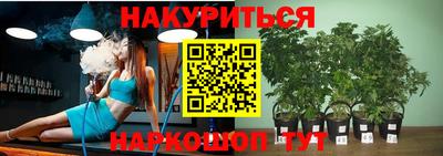 ПСИЛОЦИБИНОВЫЕ ГРИБЫ Берёзовский