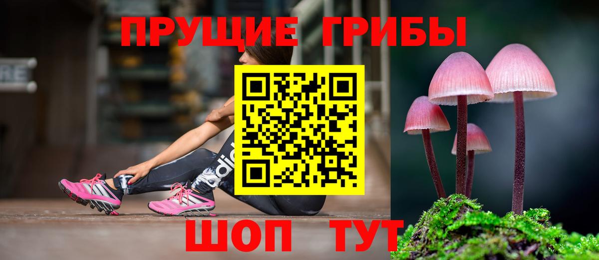 Галлюциногенные грибы GOLDEN TEACHER Каменка